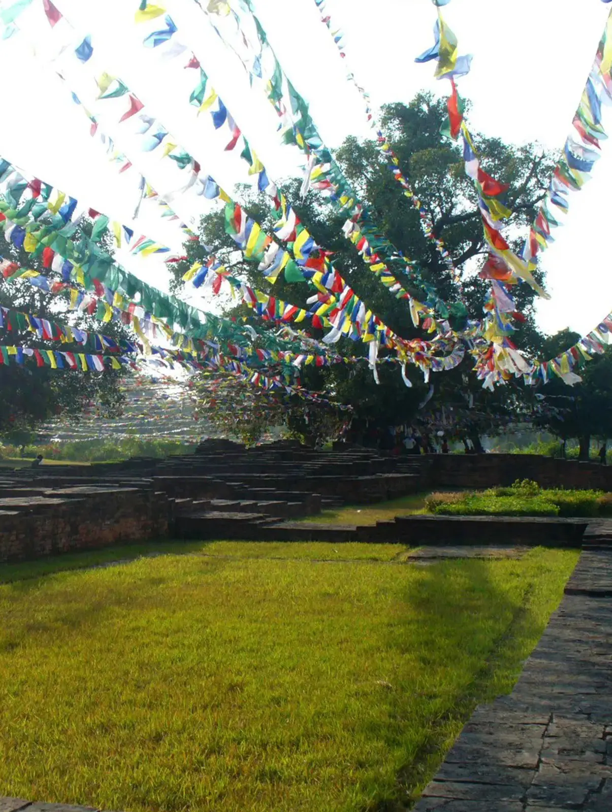 Sacred <span>Garden</span>